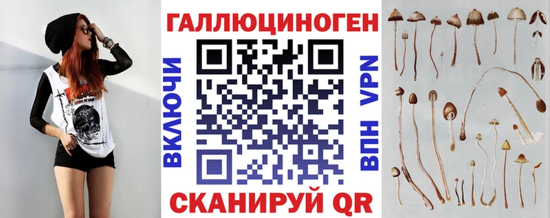 Галлюциногенные грибы мицелий  купить   Канск 